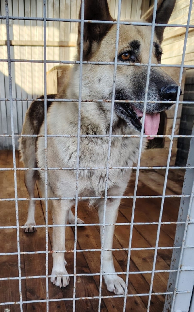 Кличка Маша Кличка Маша