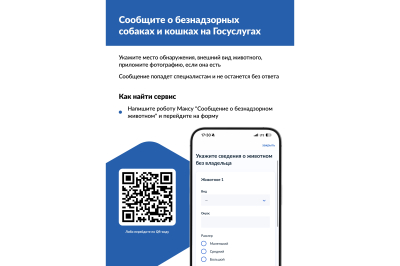 ����� ������ ���������� ����� �������� � ������������ ��������