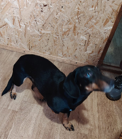 Кличка Мотя Кличка Мотя