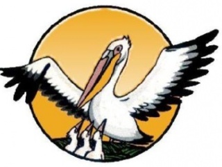 13       2011