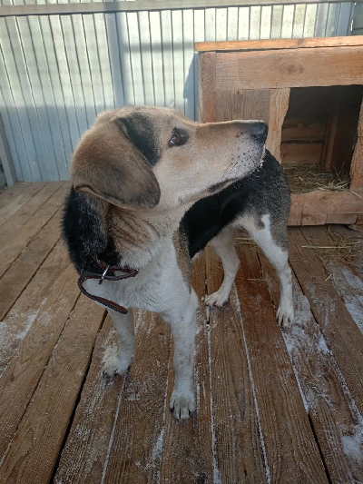 ������ �����