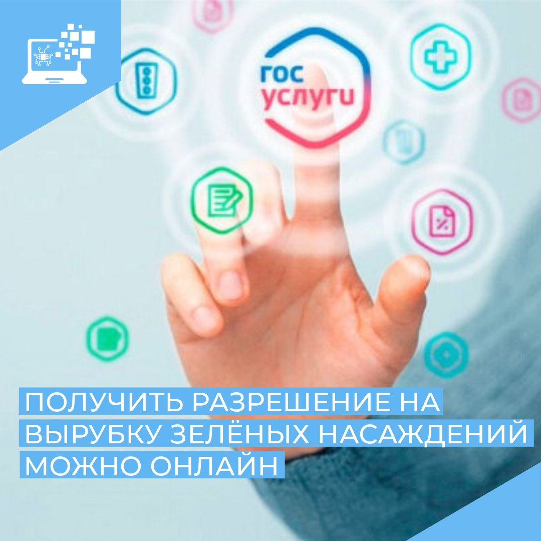 Получить разрешение на вырубку зелёных насаждений можно онлайн Получить разрешение на вырубку зелёных насаждений можно онлайн
