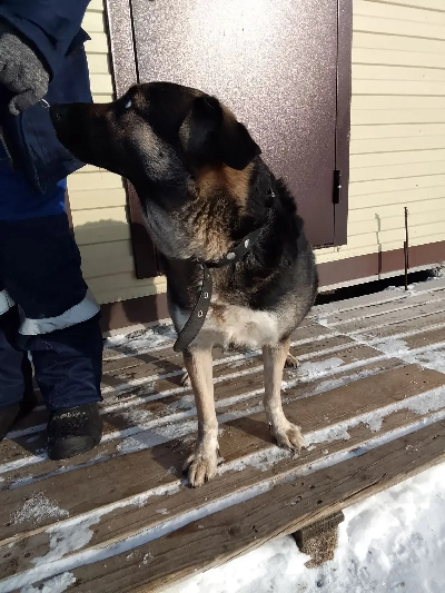 ������ �����������