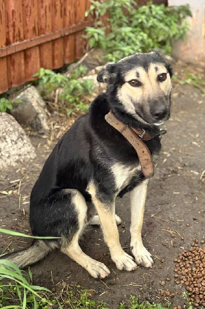 Кличка Зая Кличка Зая