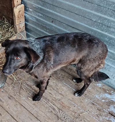 ������ ��������