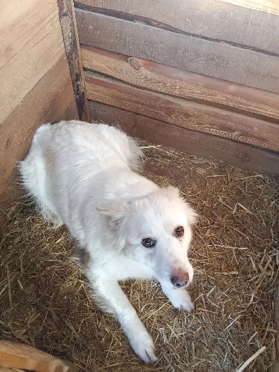 ������ �����