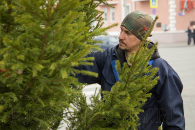 � ������� ���������� �������� �������������� ��������