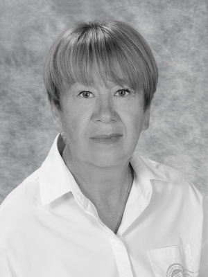 ������� ������ ��������