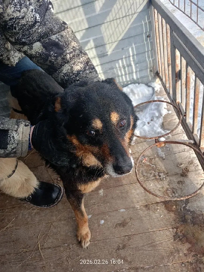 Кличка Черномор Кличка Черномор