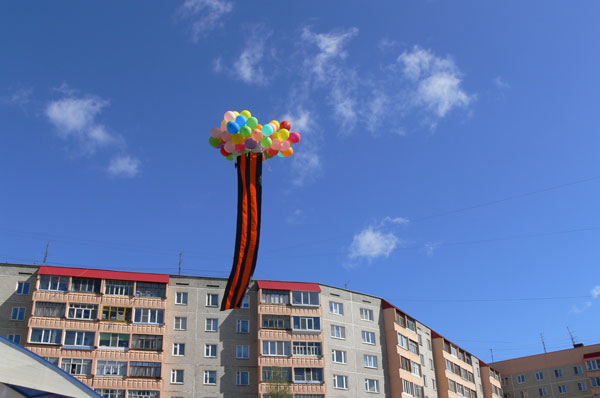 13.jpg 13.jpg